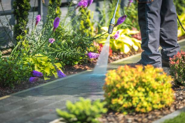 Best Pool Deck Cleaning  in Roswell, NM